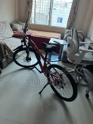 Stern Bicycle
