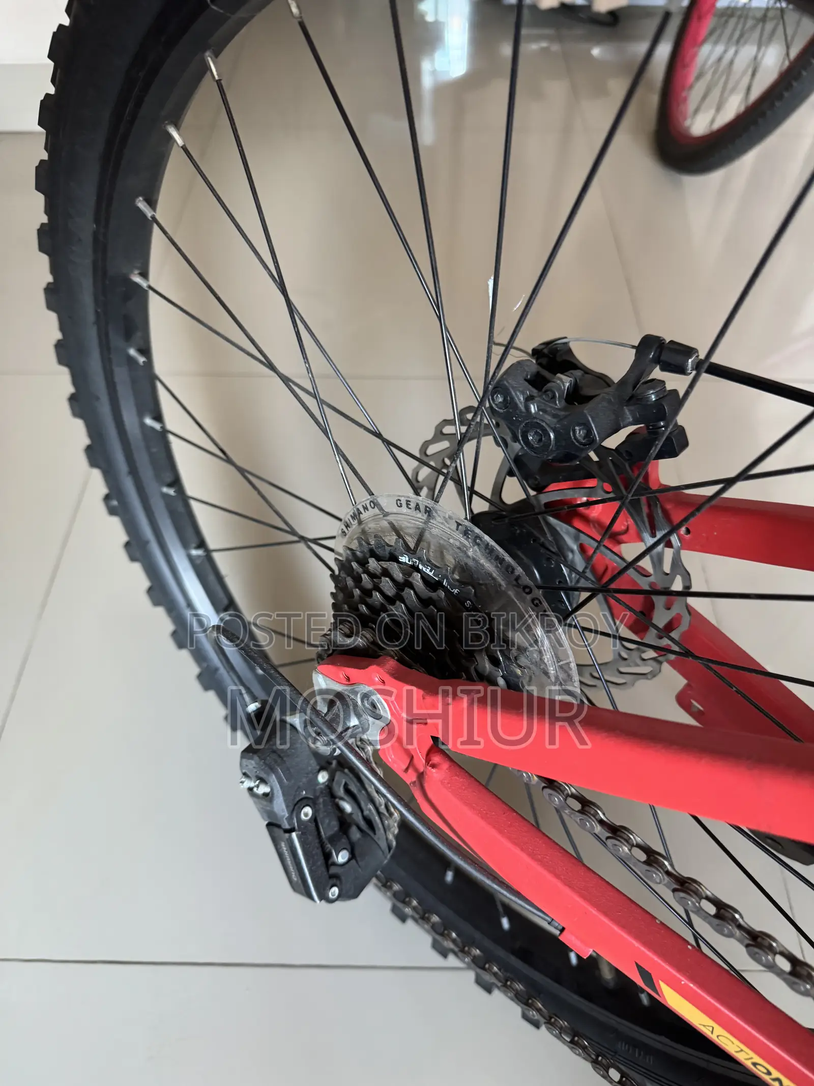 Stern Bicycle