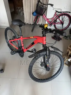 Stern Bicycle