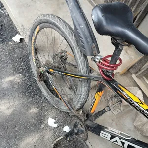 Sycle for Sale