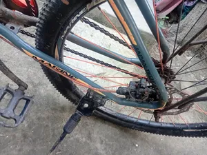 Bicycle For Sell