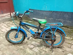 Bicycle for children aged 2 to 6 years for sale at a low price
