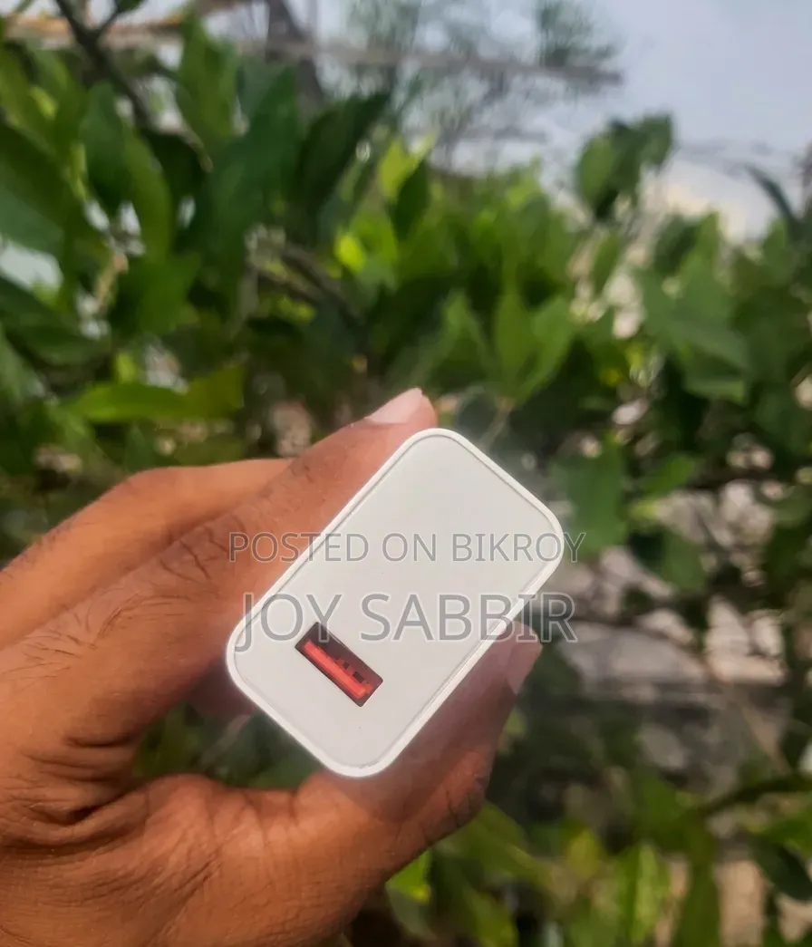 Redmi 33 Watt Charger