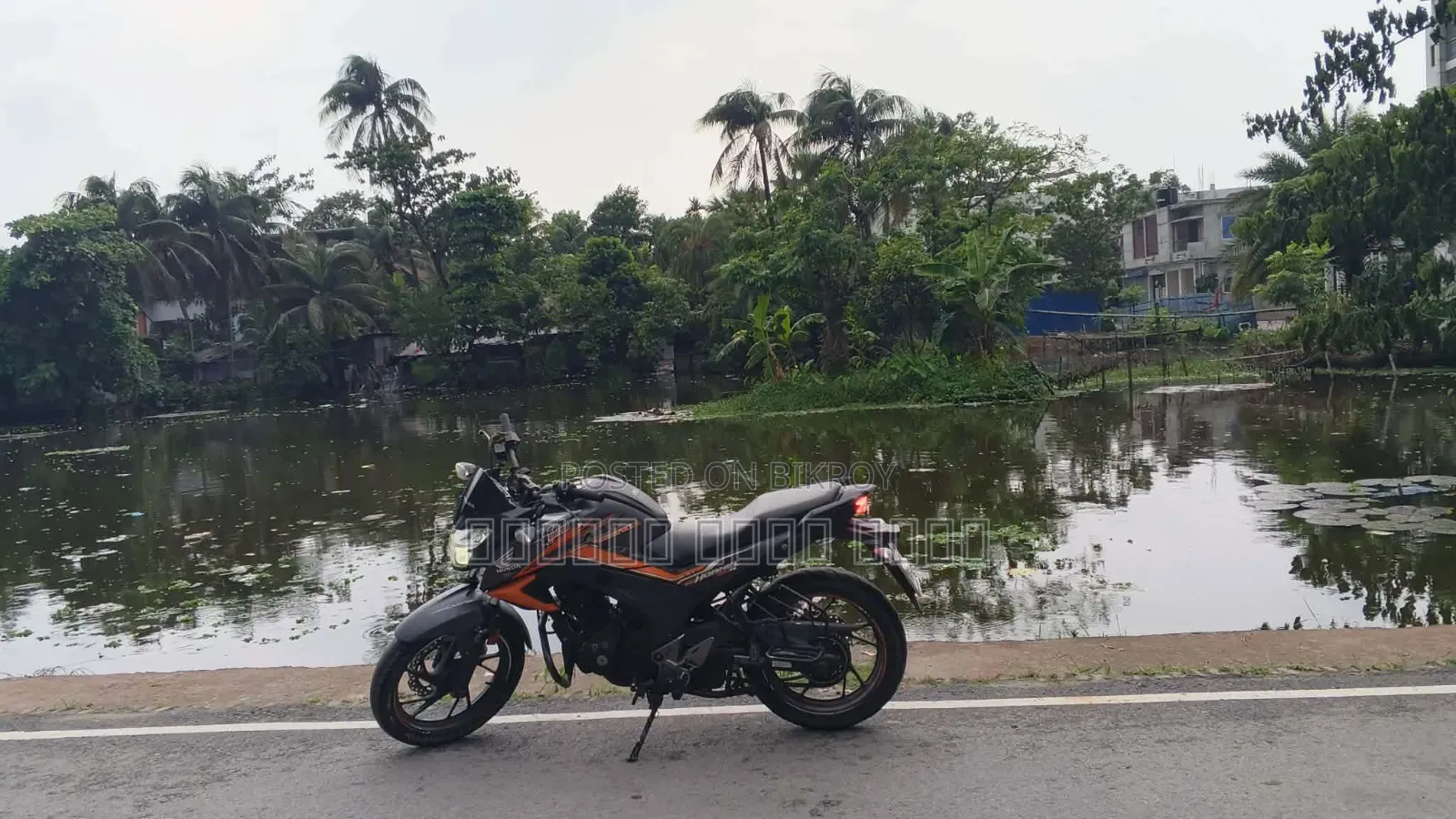 Honda CB 2022 Gray