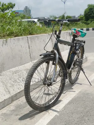 The bicycle will be sold