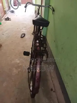 সাইকেলটা অনেক ভালো।