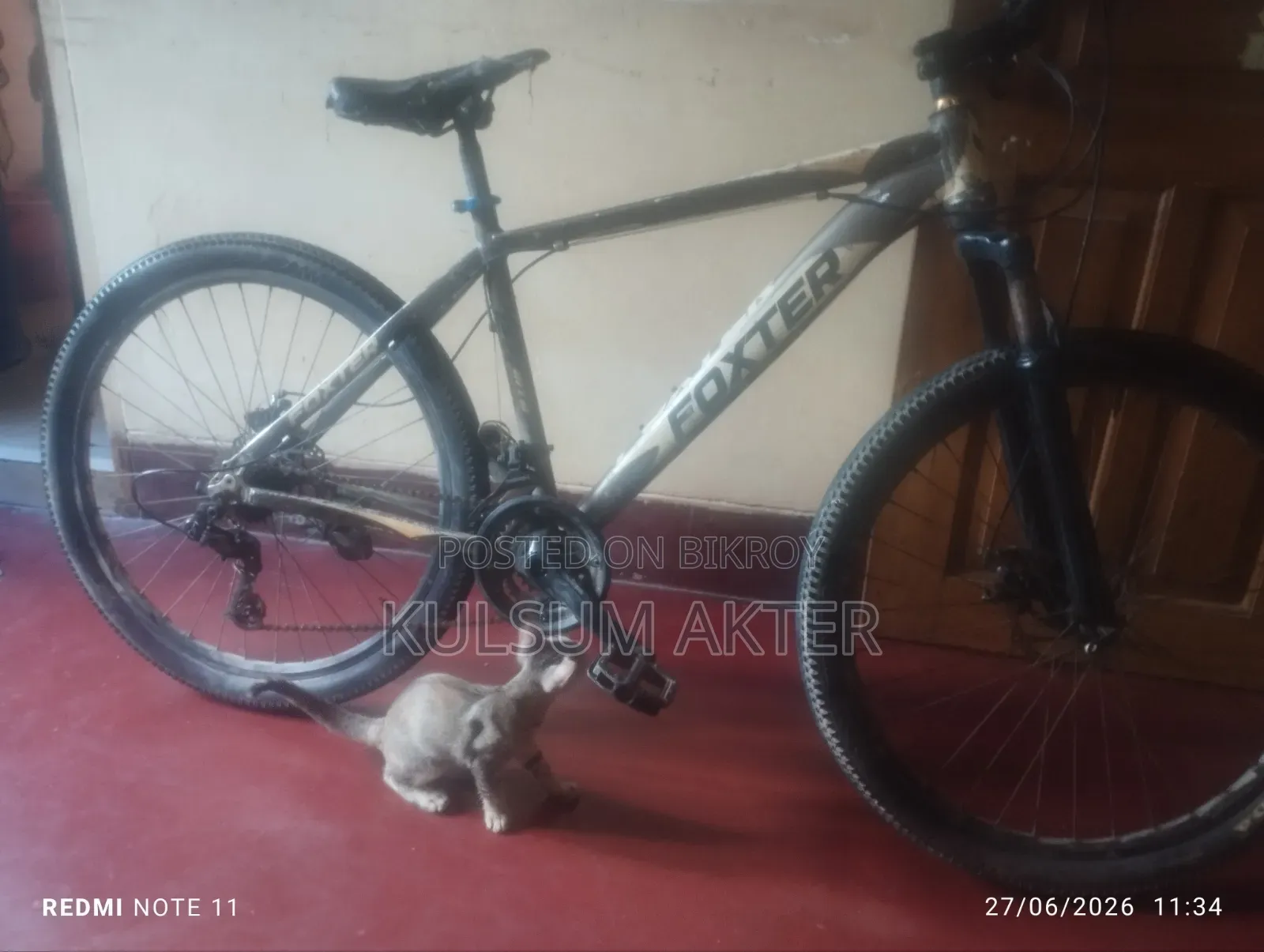 Foxter Gear Bicycle