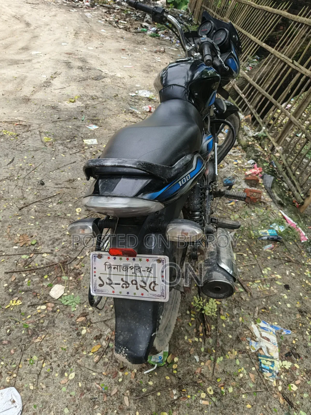 Bajaj Discover 100 2010 Blue