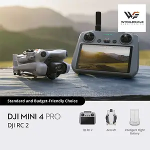 Dji Mini 4 Pro (Dji Rc 2) Single Battery