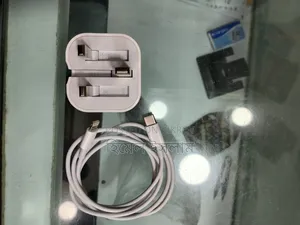 Mobile Charger