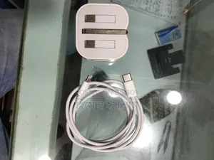 Mobile Charger