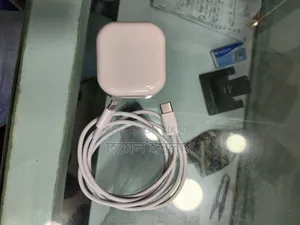 Mobile Charger