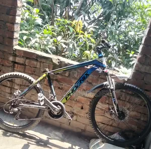 Phoenix Bicycle.