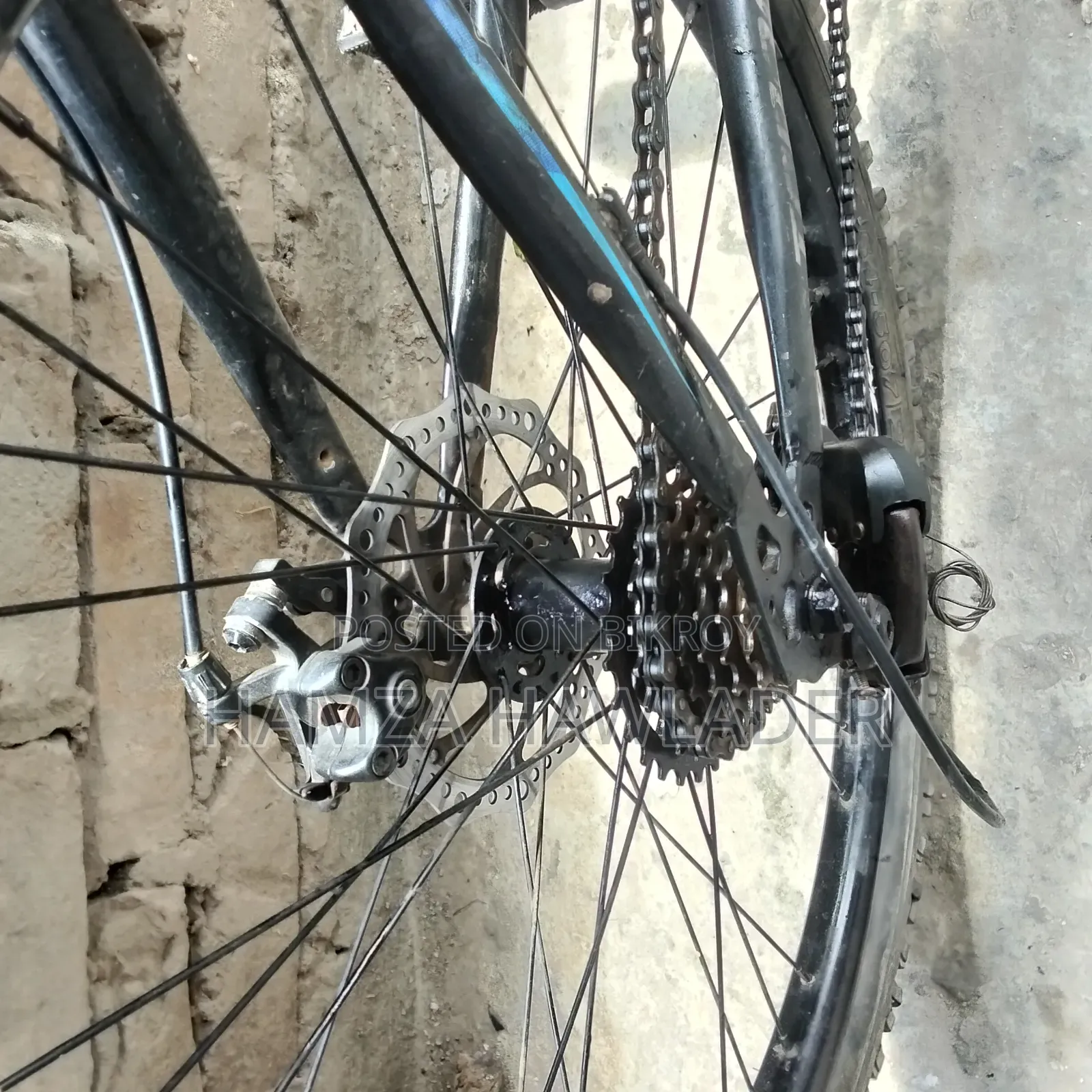 Phoenix Bicycle.