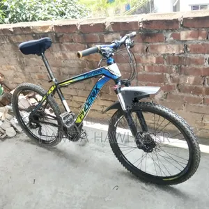 Phoenix Bicycle.