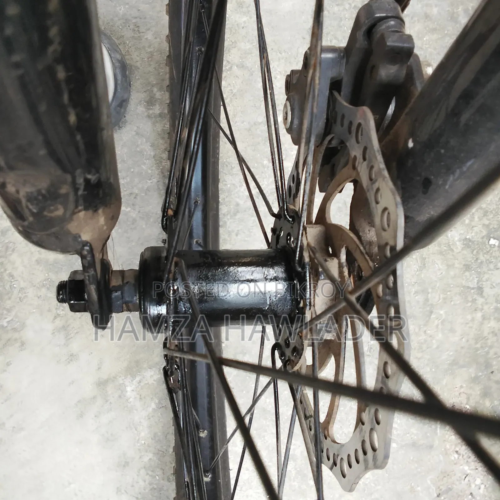 Phoenix Bicycle.