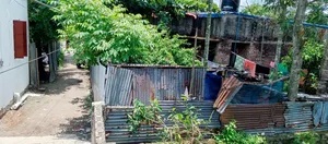 3bdrm House in ফুল ফ্রেশ জমি তিন, Khulna Sadar for Sale