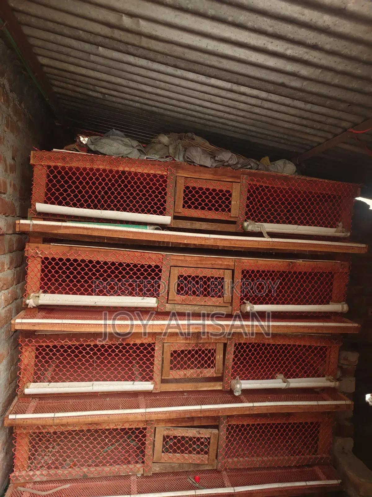 Quail Bird Cage