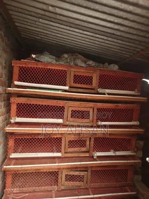 Quail Bird Cage