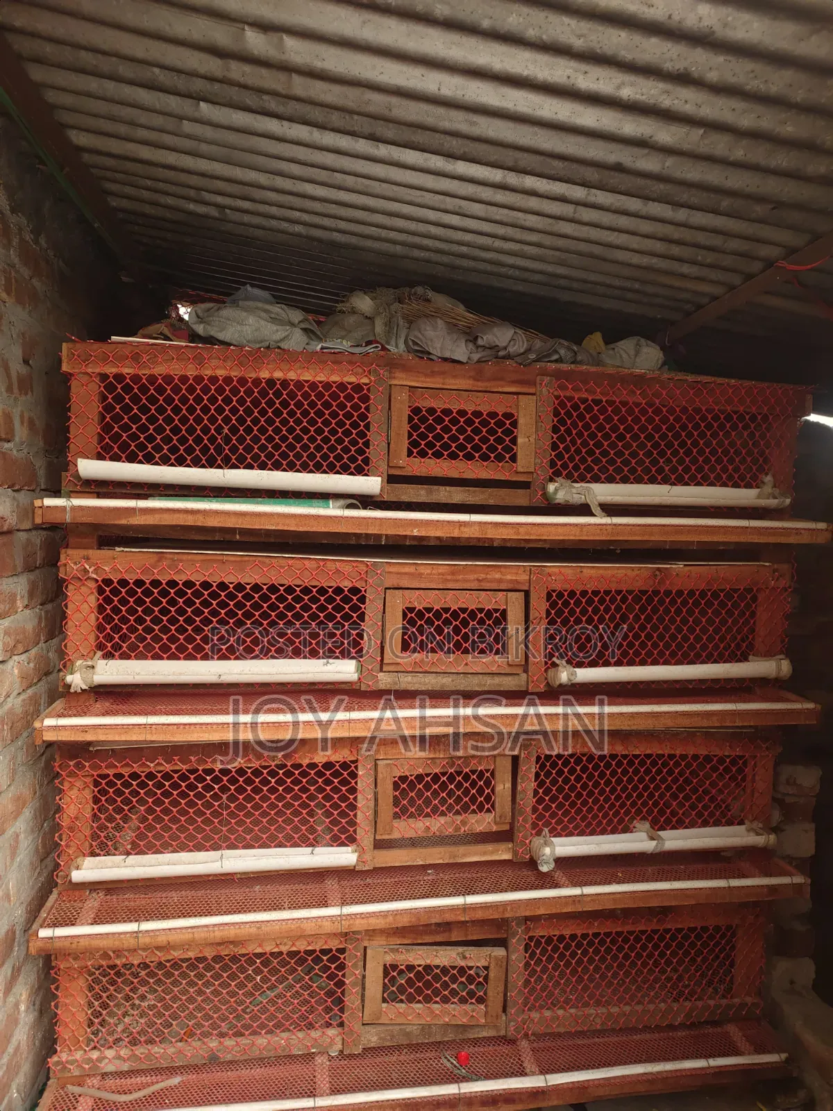 Quail Bird Cage