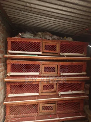 Quail Bird Cage
