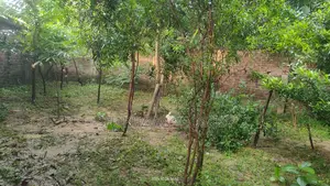 This land is for sale