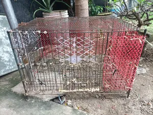 মোটা লোহার সিকের খাচা ১৮/২৪ ইনচি খুব শক্ত মুরগি কবুতর পালার খাচা