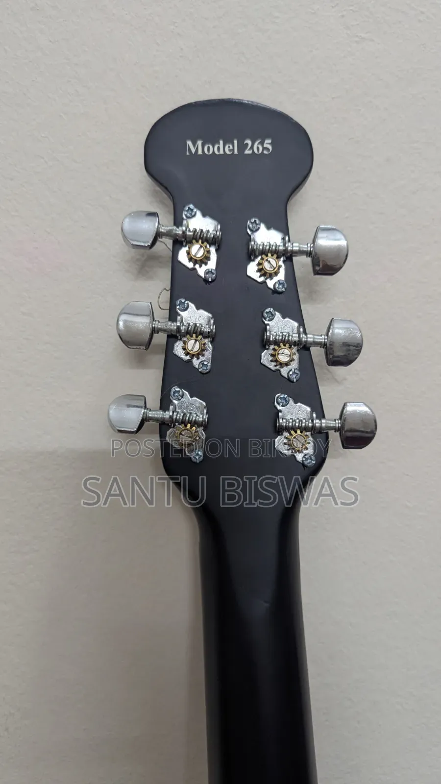 New Signature Guitar