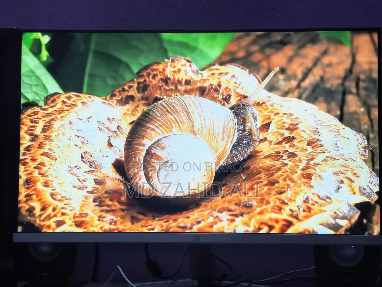 Hp M22f 22" FHD Ips Monitor With 2 Years Warranty Remaining