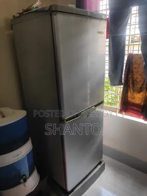 Singer Fridge