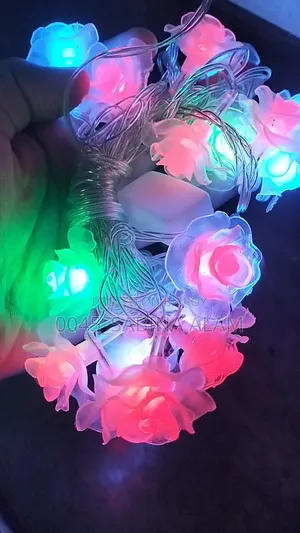 Rose Multicolor Light