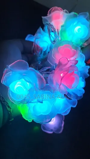 Rose Multicolor Light