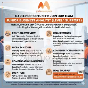 Junior Business Analyst
