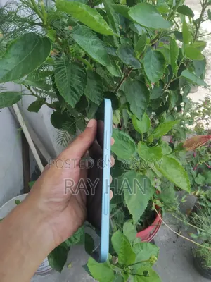 Honor 400 Lite 256 GB