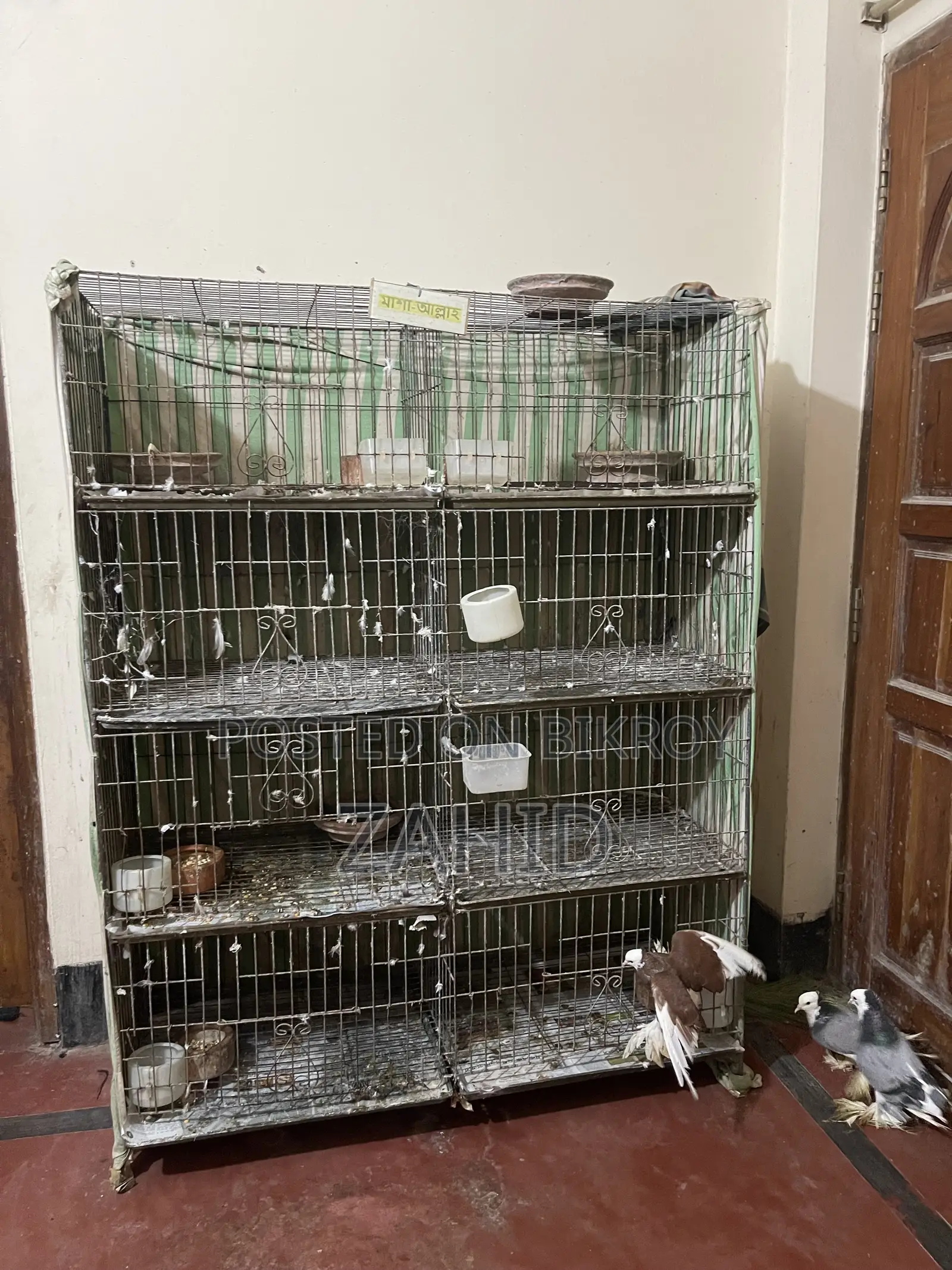 8-room cage for sale