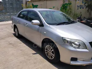 Toyota Axio 2009 Silver