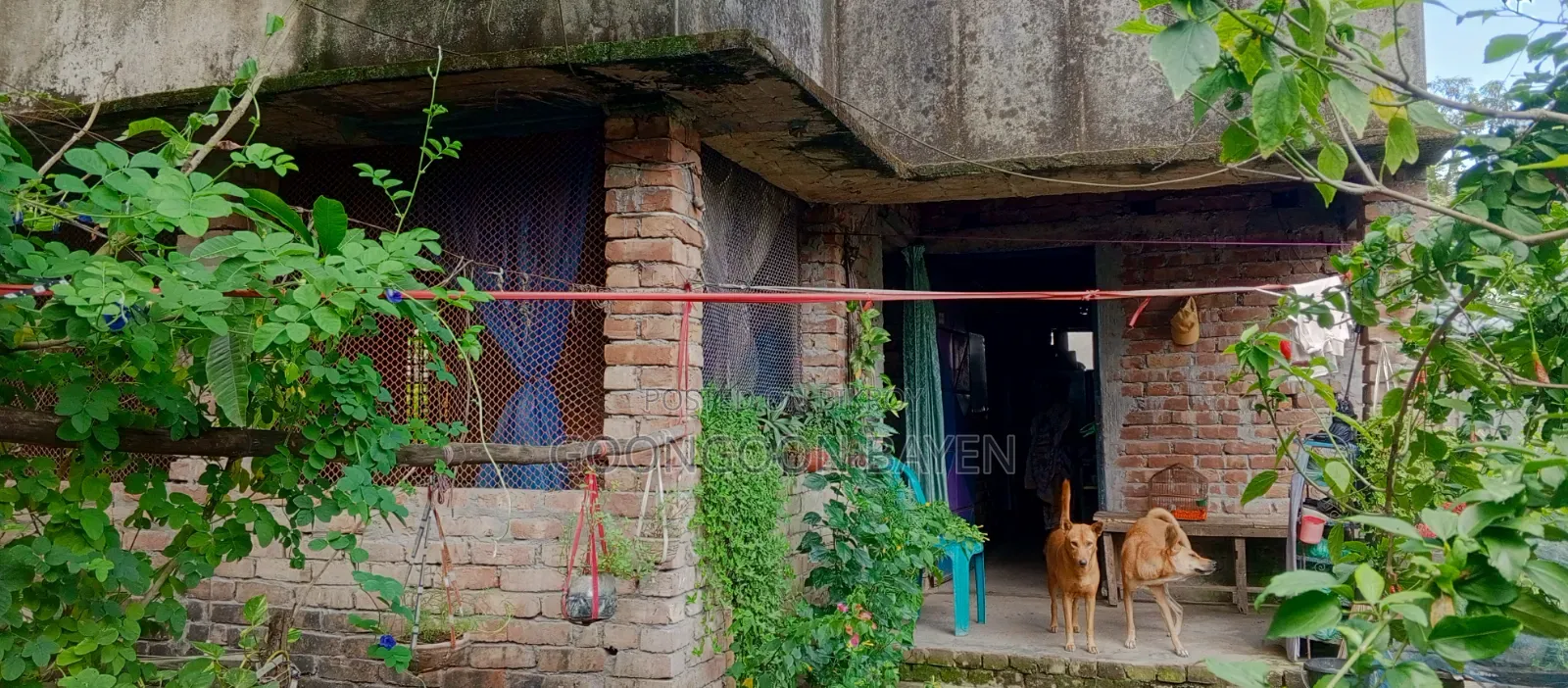 3-bedroom House on 3-katha fresh land, Batighata for sale