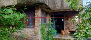 3-bedroom House on 3-katha fresh land, Batighata for sale