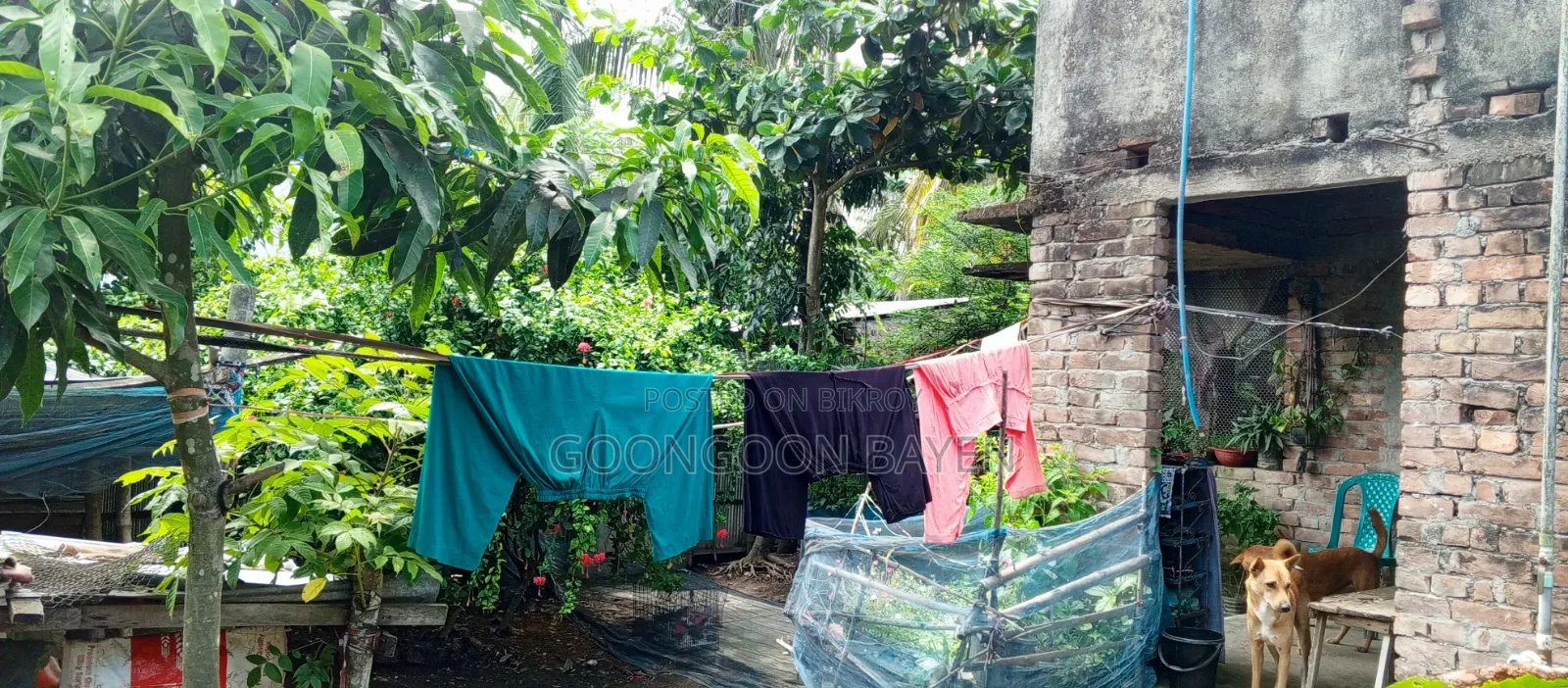 3-bedroom House on 3-katha fresh land, Batighata for sale