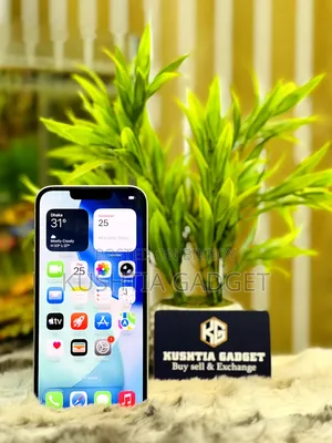 Apple iPhone 12 Pro Max 128 GB Rose Gold