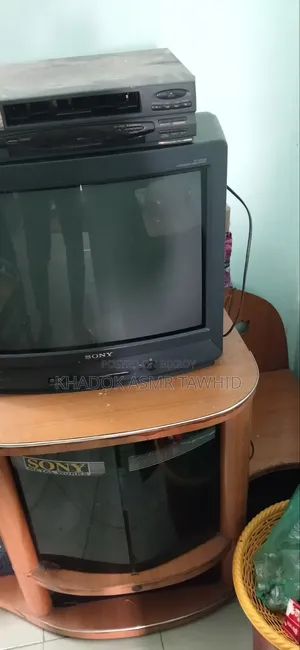 TV with stand