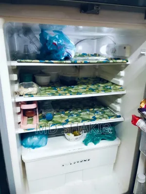 Walton 17.5 SFT Refrigerator