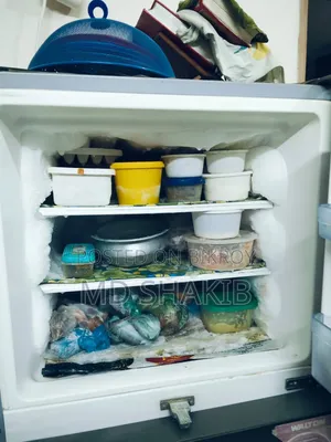 Walton 17.5 SFT Refrigerator