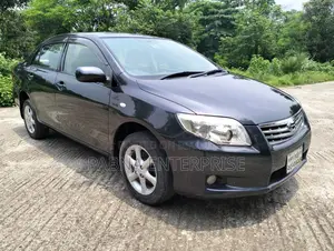Toyota Axio 2011 Gray