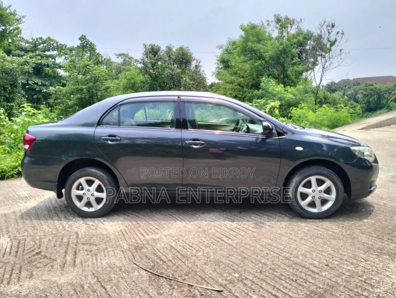 Toyota Axio 2011 Gray
