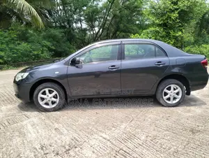 Toyota Axio 2011 Gray