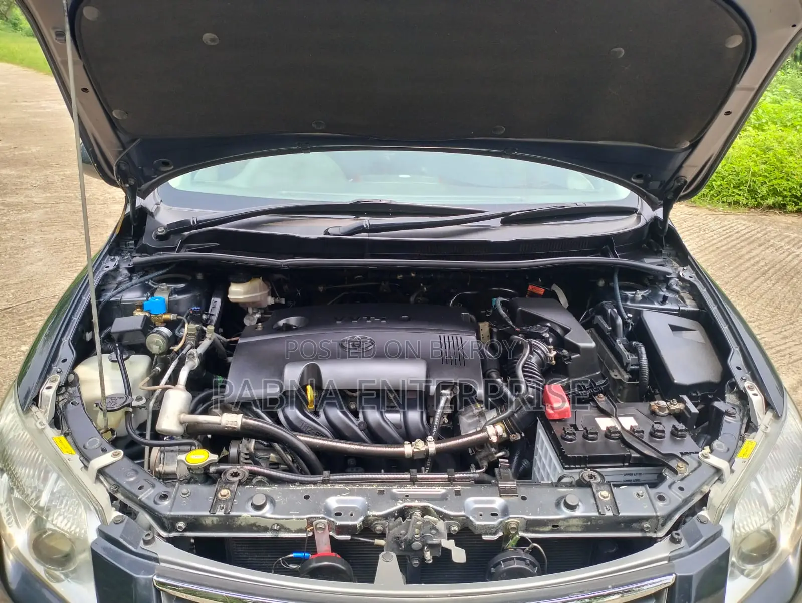 Toyota Axio 2011 Gray
