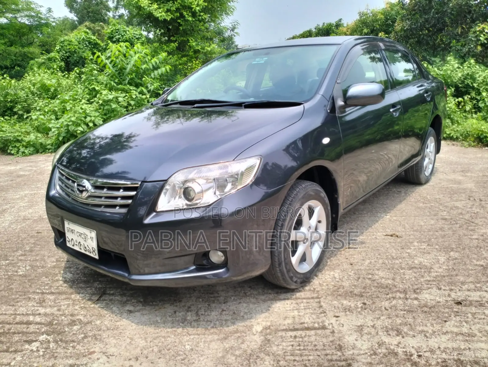 Toyota Axio 2011 Gray