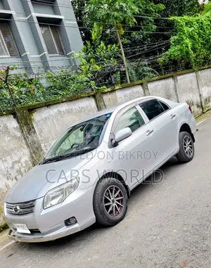 Toyota Axio 2009 Silver