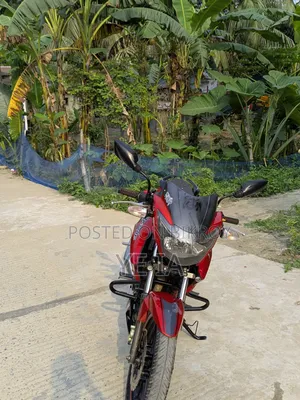 TVS Apache RTR 160 2V 2018 Red